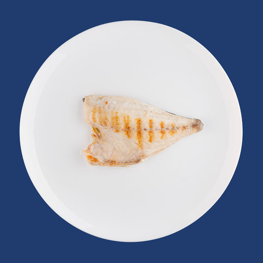 Filetto di Orata ai Ferri