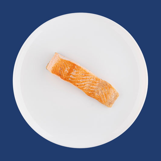 Filetto di Salmone ai Ferri