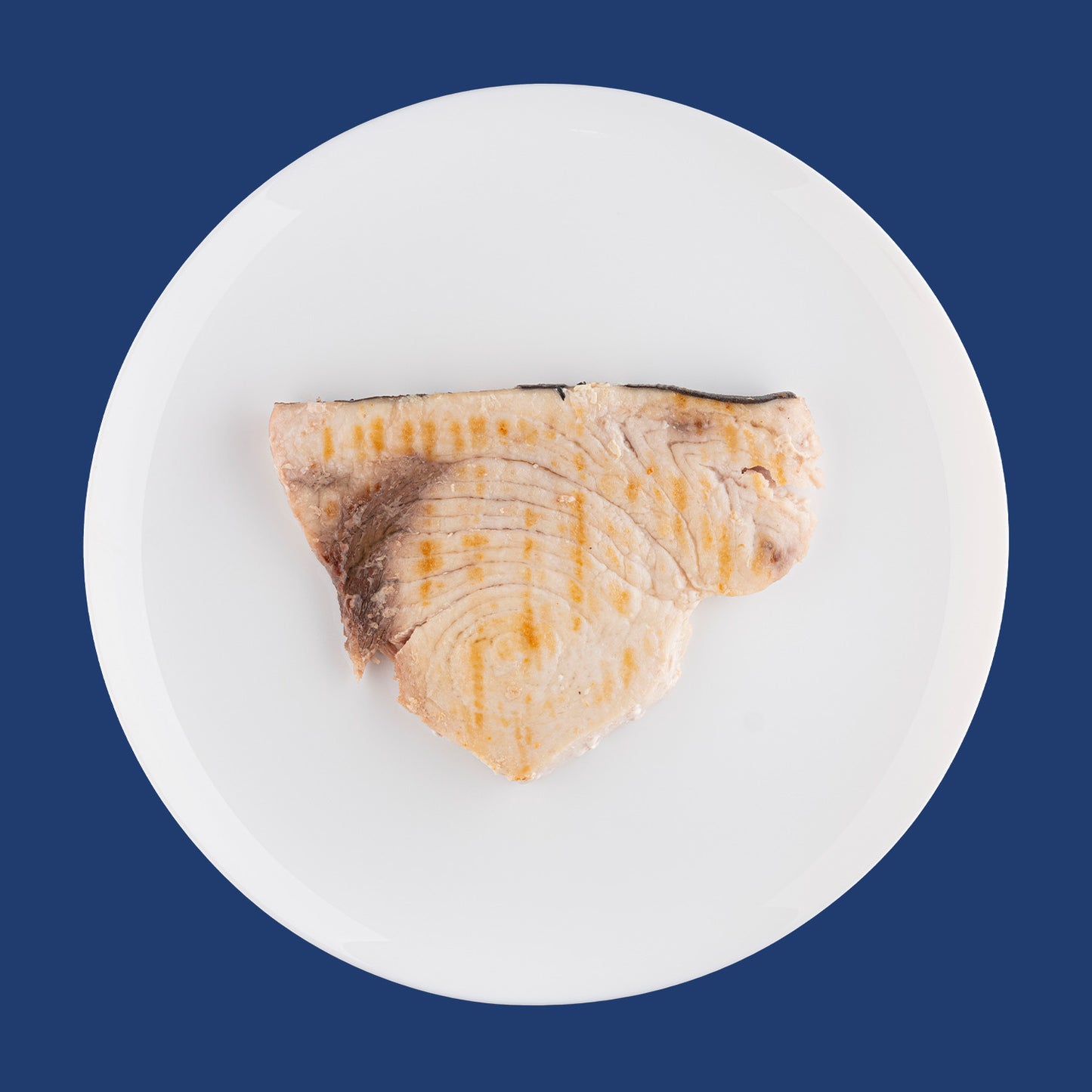 Trancio di Pesce Spada ai Ferri