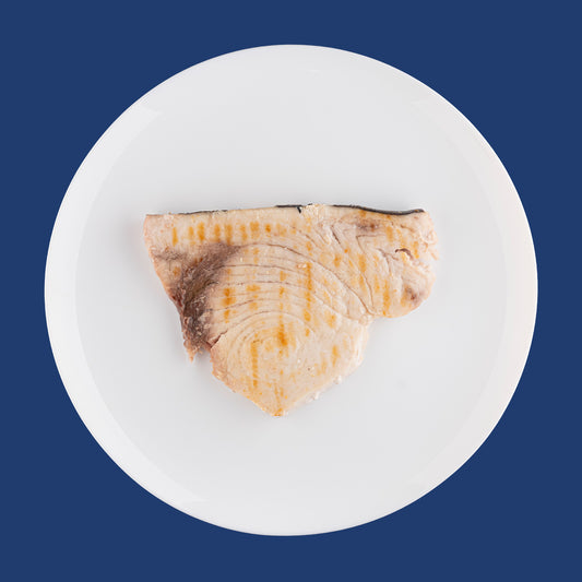 Trancio di Pesce Spada ai Ferri
